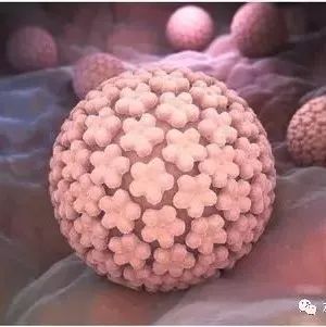 微问答114期：HPV呈阳性是不是潜在风险多大，是不是离开癌症不远了？-原始点全球同学网