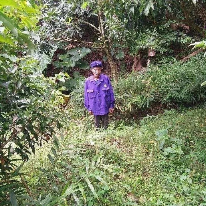 案例分享：中风不能自理调理案例-原始点全球同学网
