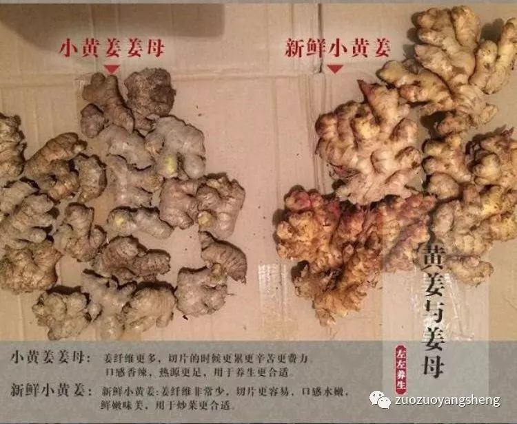 姜片好不好,吃了才知道 姜片好不好,吃了才知道