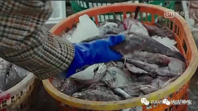 追剧《我的前半生》这些主角们真应该好好学一下如何养生了 追剧《我的前半生》这些主角们真应该好好学一下如何养生了