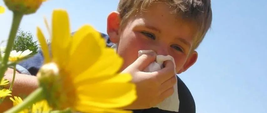 案例分享：小孩多年鼻炎、便秘腹胀调理案例-原始点全球同学网