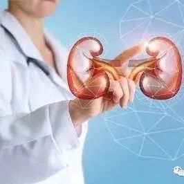 微问答108期：尿毒症怎么调理？肌酐750，无任何不适症状-原始点全球同学网