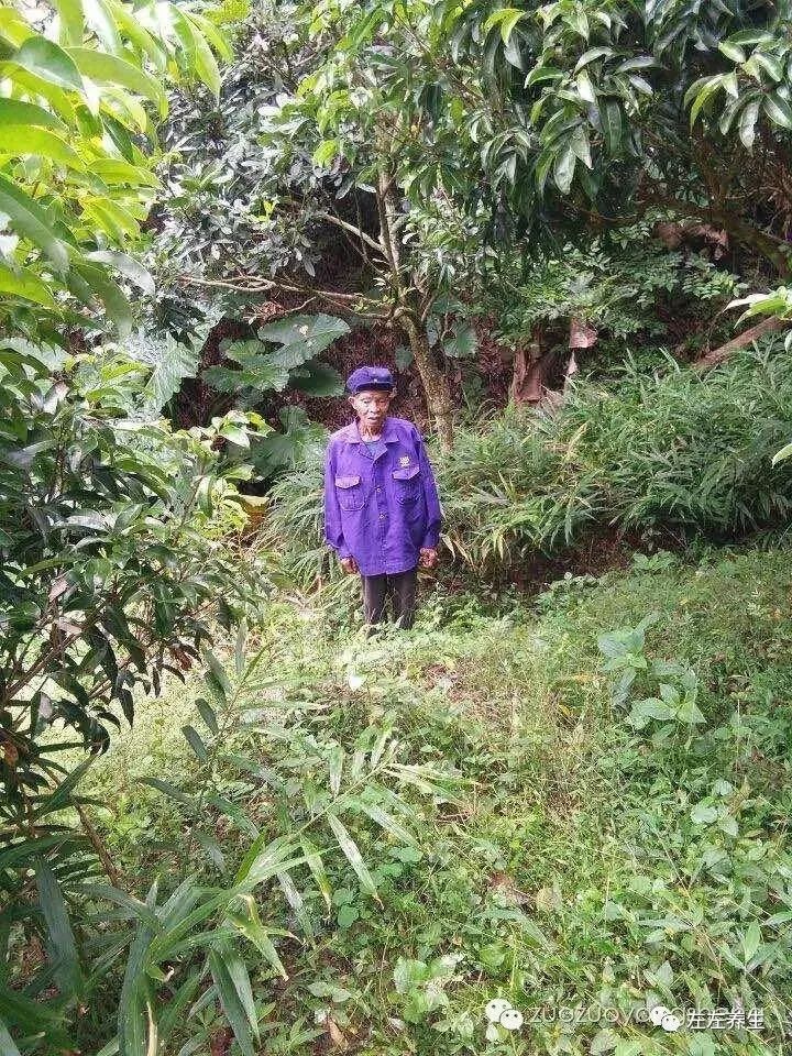 案例分享:中风不能自理调理案例 案例分享:中风不能自理调理案例