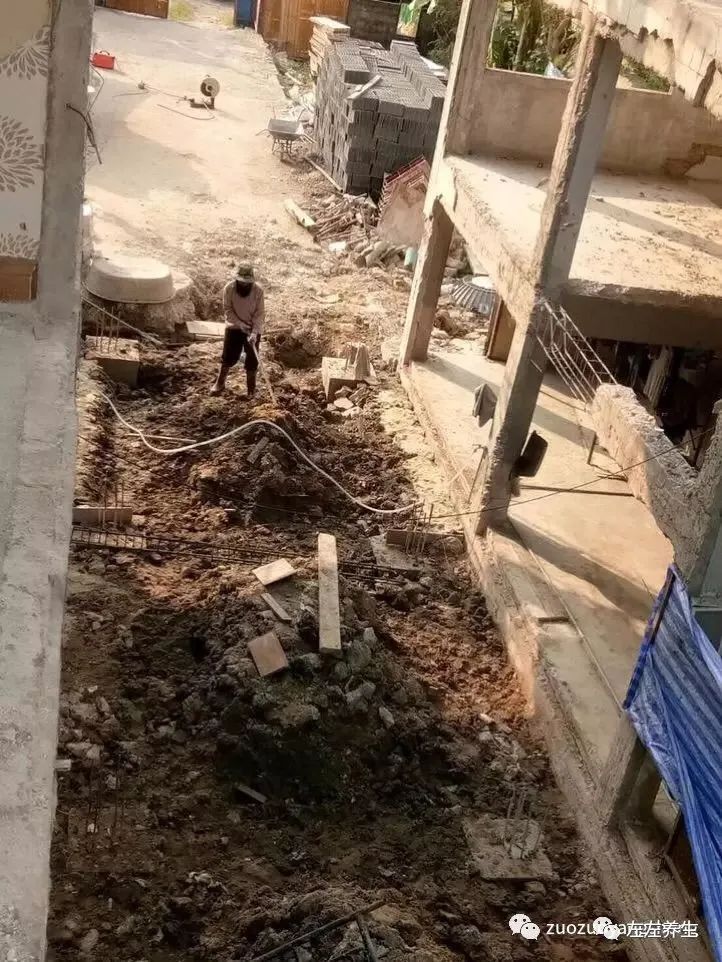 案例分享:原始点在泰国——调理前胸痛、心悸、腰部酸痛的案例 案例分享:原始点在泰国——调理前胸痛、心悸、腰部酸痛的案例