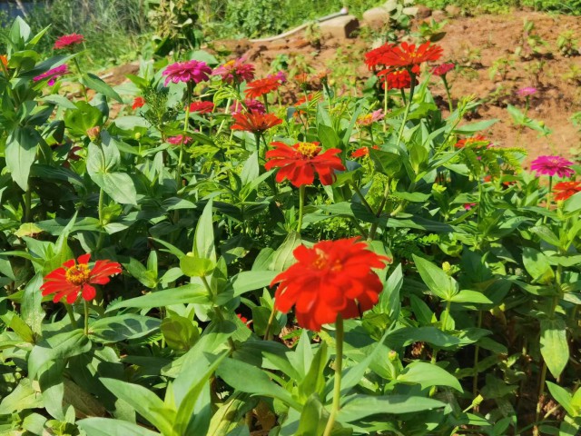 惠州健康原始点 惠州健康原始点