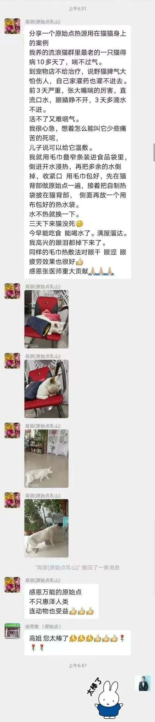 热源用在猫咪身上的效果