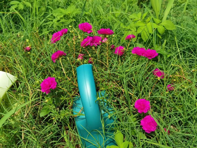 惠州健康原始点 惠州健康原始点