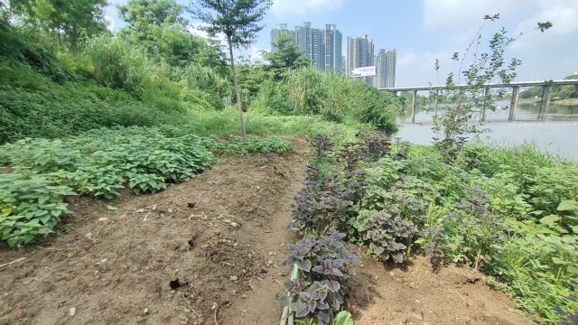 惠州健康原始点 惠州健康原始点