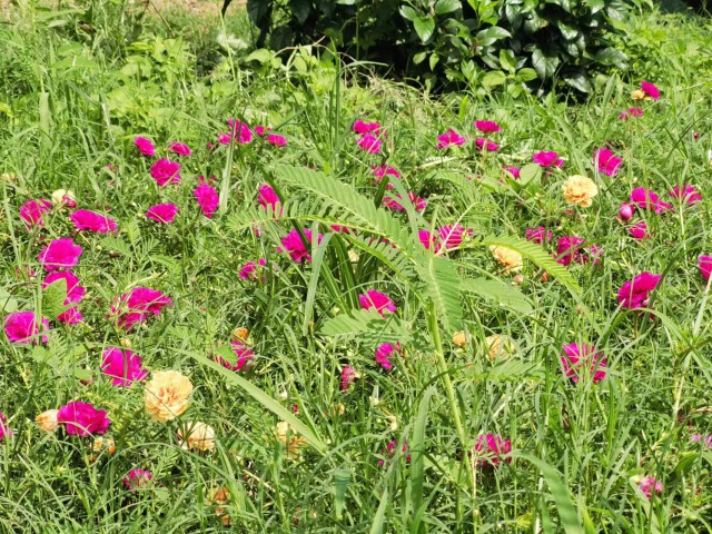 惠州健康原始点 惠州健康原始点