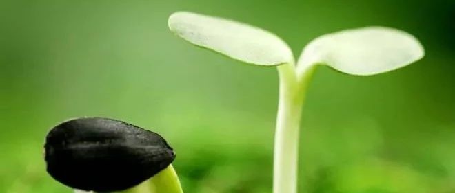 肺部疾病恢复案例 附操作方法!-原始点全球同学网