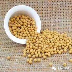 姜膏姜丸的分享(妙用) 姜膏姜丸的分享(妙用)