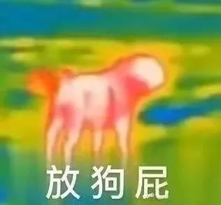 神医大忽悠 神医大忽悠