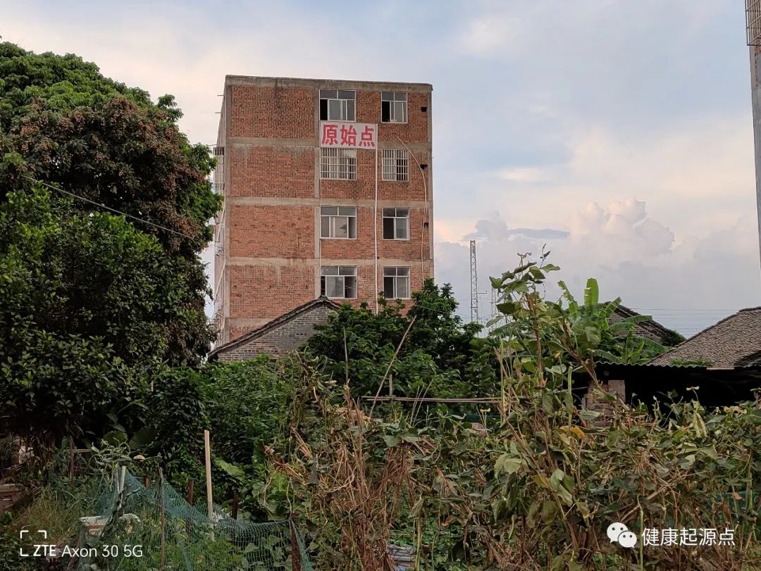 南宁紫莲花原始点公益中心--春节休假后恢复调理、交流学习通知 南宁紫莲花原始点公益中心--春节休假后恢复调理、交流学习通知