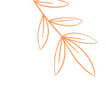 乐清市第24期原始点培训邀您共赴健康之旅! 乐清市第24期原始点培训邀您共赴健康之旅!