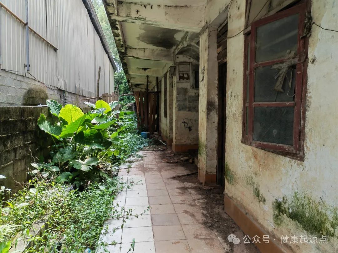 紫莲花原始点康养院正式进入装修阶段