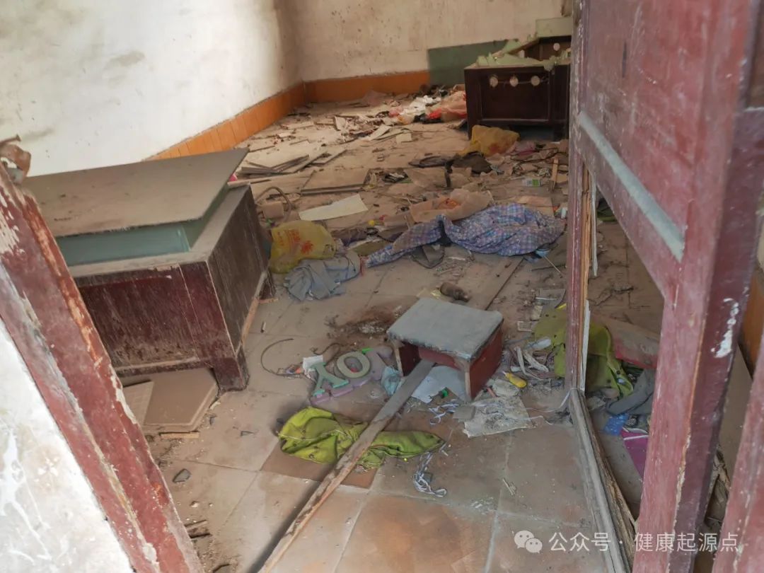 紫莲花原始点康养院正式进入装修阶段