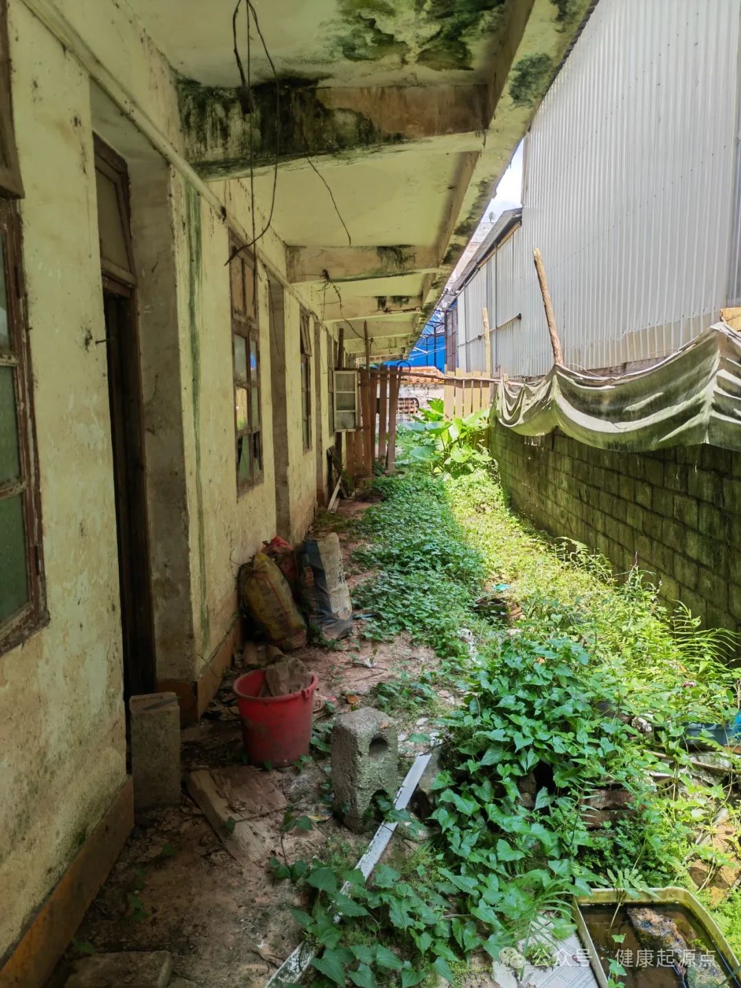 紫莲花原始点康养院正式进入装修阶段