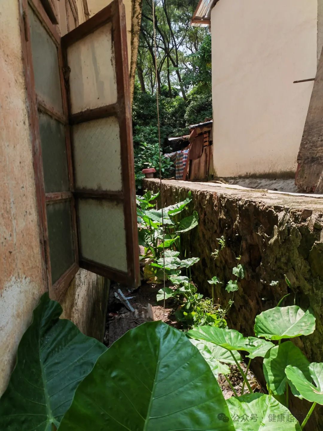 紫莲花原始点康养院正式进入装修阶段