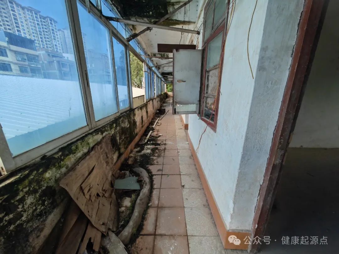 紫莲花原始点康养院正式进入装修阶段