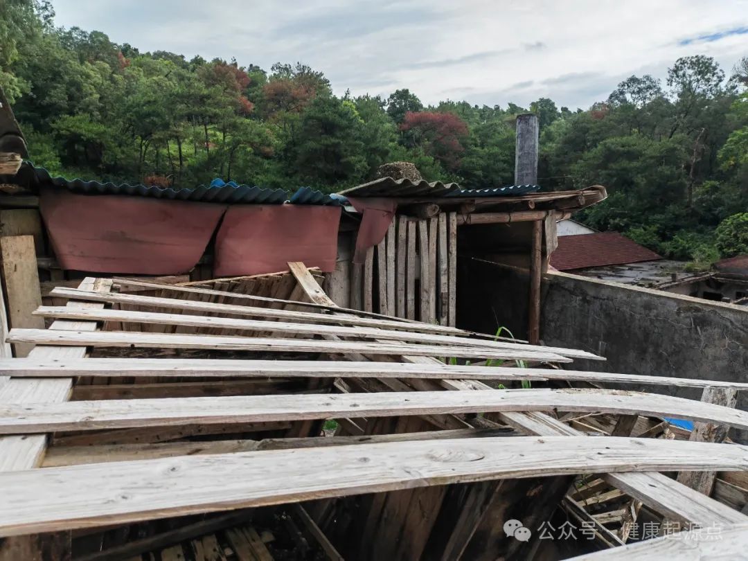 紫莲花原始点康养院正式进入装修阶段