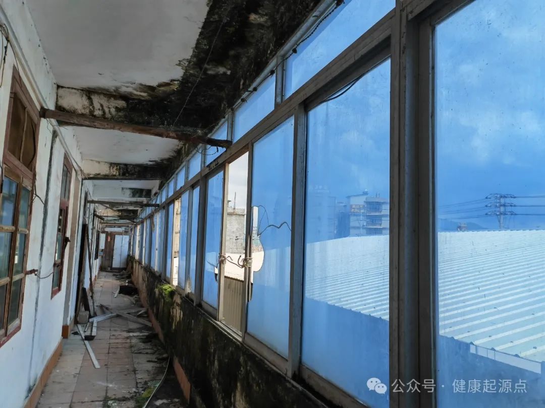 紫莲花原始点康养院正式进入装修阶段