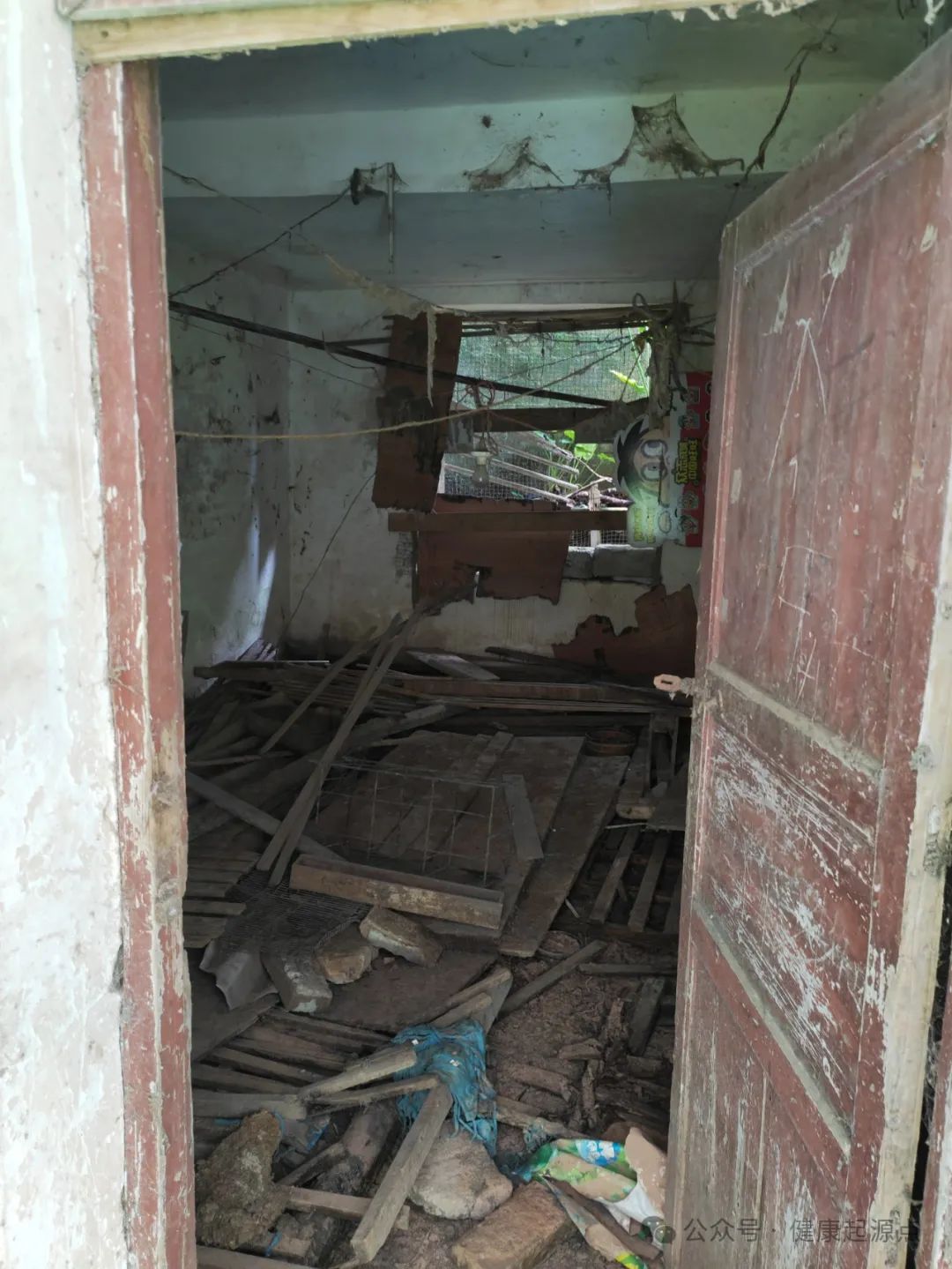 紫莲花原始点康养院正式进入装修阶段