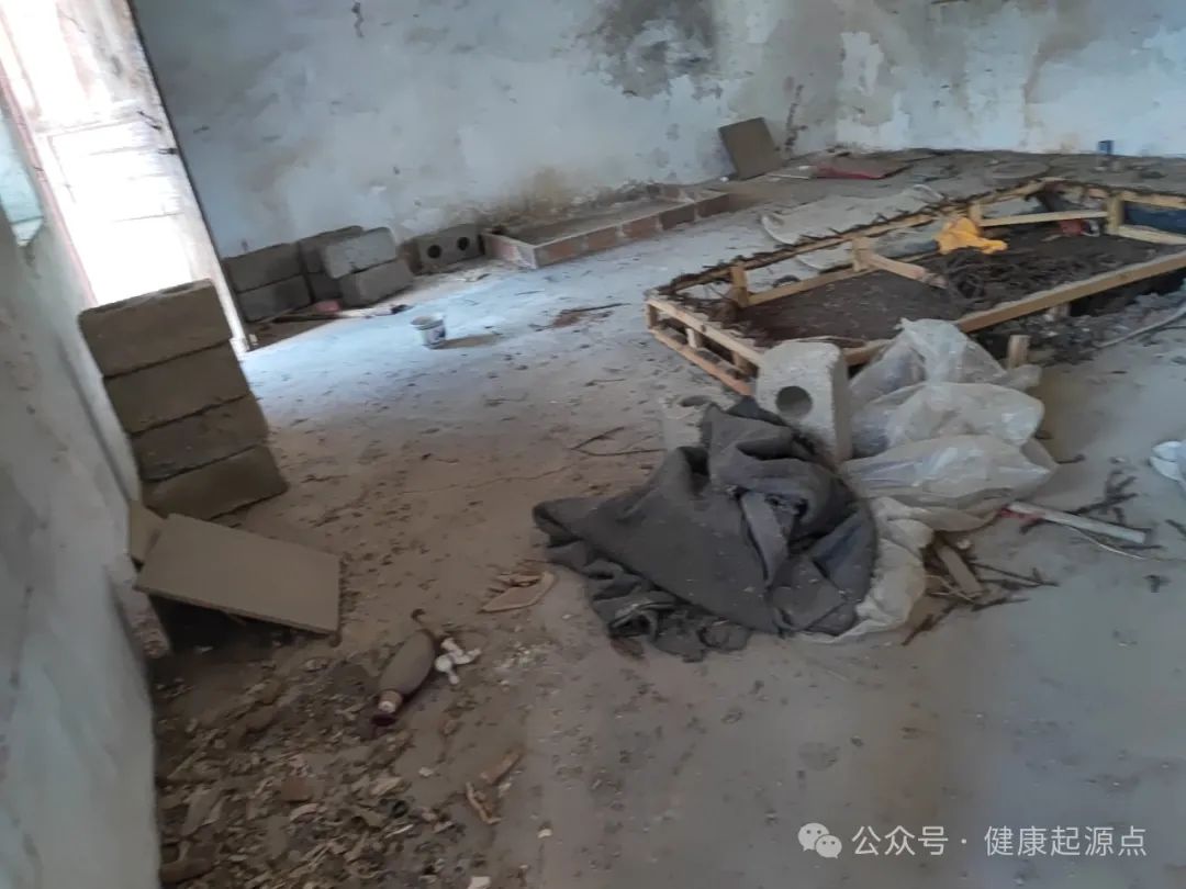 紫莲花原始点康养院正式进入装修阶段