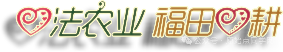 (广告)双11 今天什么姜都别买！