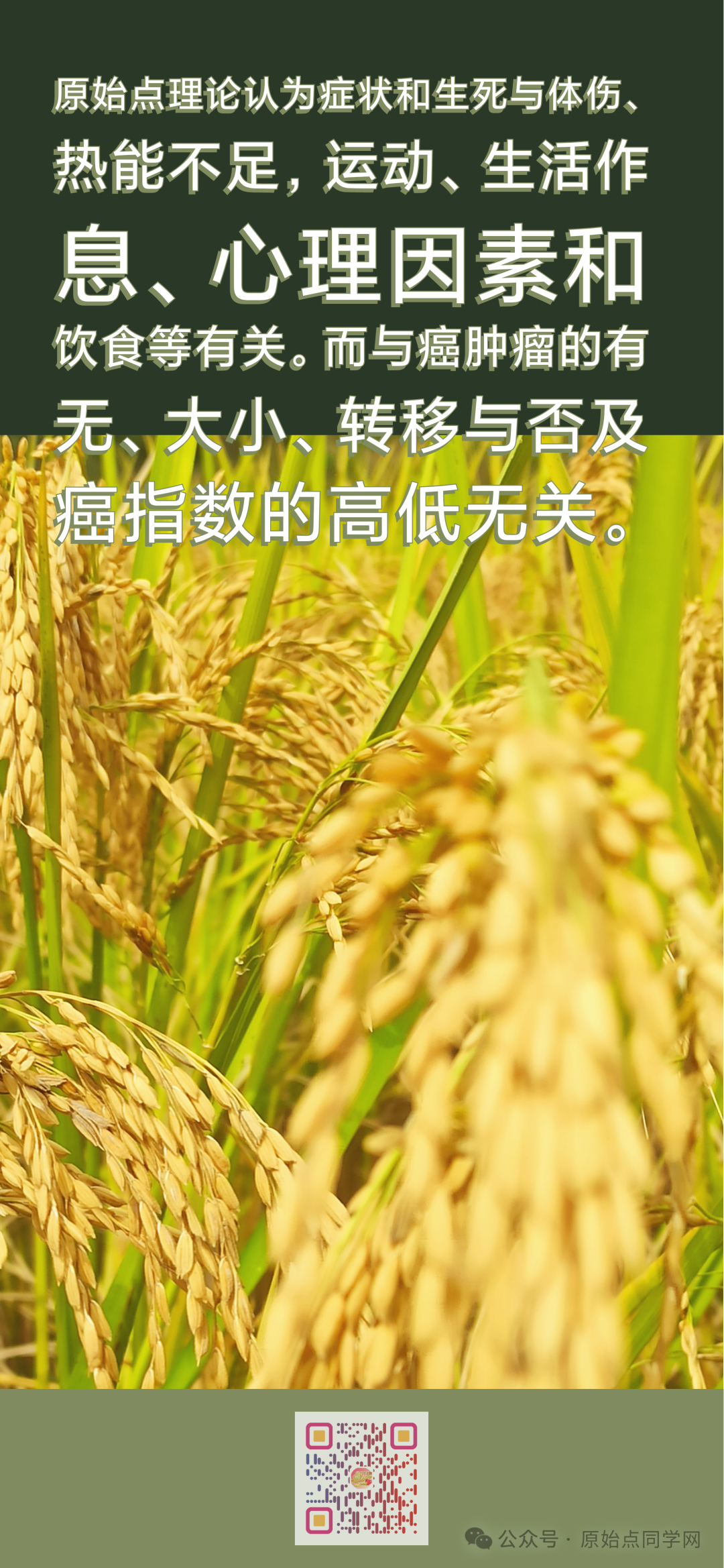 AI思考讨论(同学群)初学勿看 2024原始点课程 癌肿瘤和西医的思考和探索2024.11.03 AI思考讨论(同学群)初学勿看 2024原始点课程 癌肿瘤和西医的思考和探索2024.11.03