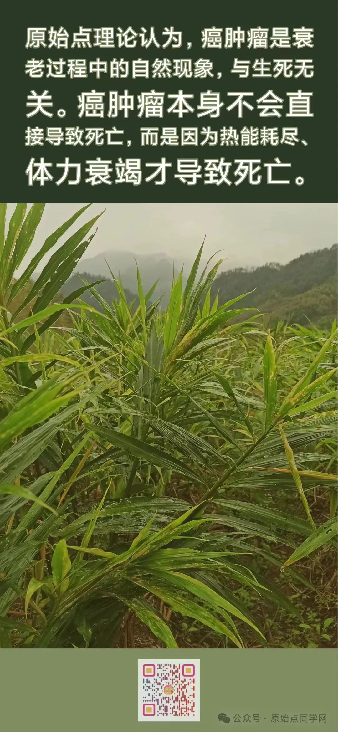 AI思考讨论(同学群)初学勿看 2024原始点课程 癌肿瘤和西医的思考和探索2024.11.03 AI思考讨论(同学群)初学勿看 2024原始点课程 癌肿瘤和西医的思考和探索2024.11.03