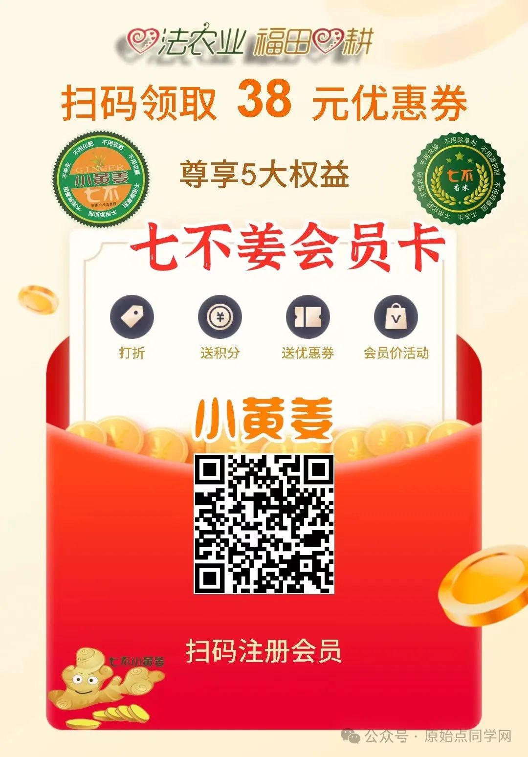 （广告）**全球同学 元旦 新年 特别福利大放送！**两大姜品联合促销高品质姜粉 七不生态小黄姜+云南有机姜