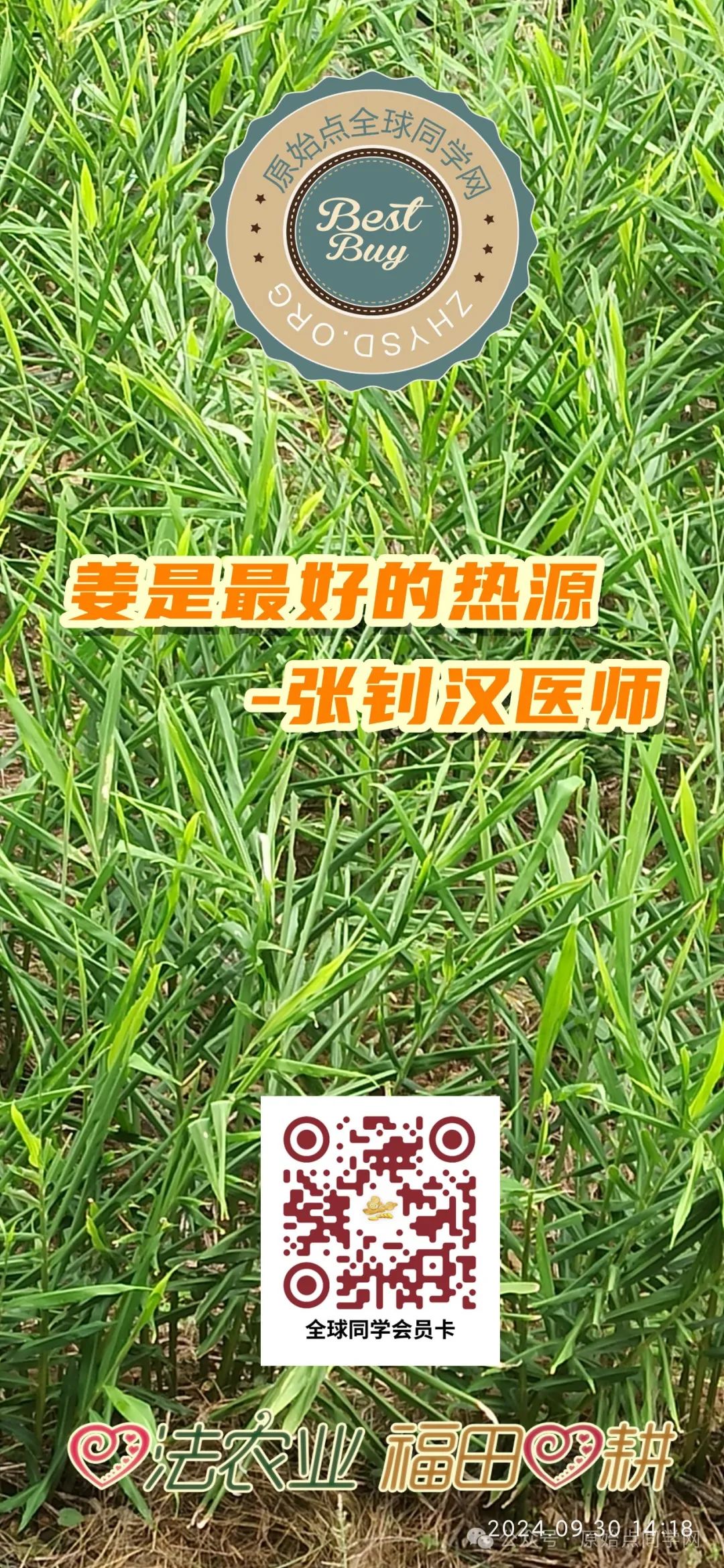 （广告）**全球同学 元旦 新年 特别福利大放送！**两大姜品联合促销高品质姜粉 七不生态小黄姜+云南有机姜