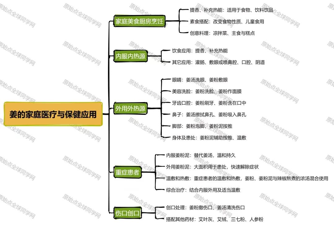 老人小孩姜粉泥简易吃法/生姜养生：姜粉、姜粉泥及姜汤的家庭保健应用指南（2024.7更新版）