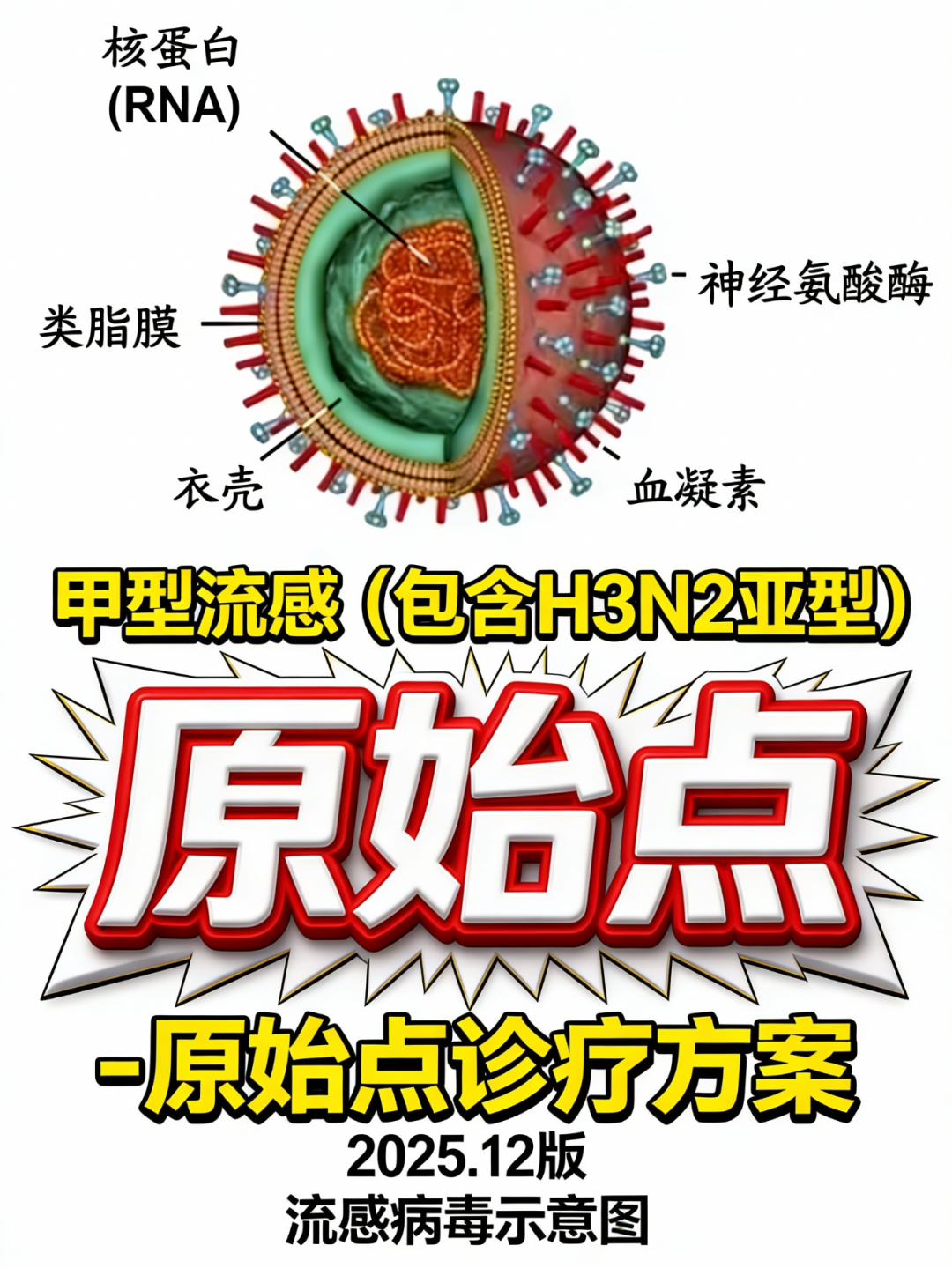 甲型流感(包含H3N2亚型)-原始点诊疗方案2025.12版-原始点全球同学网