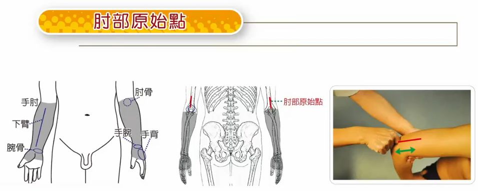 dLbpiaR6IwAA&su=1202504321&rf=2-9