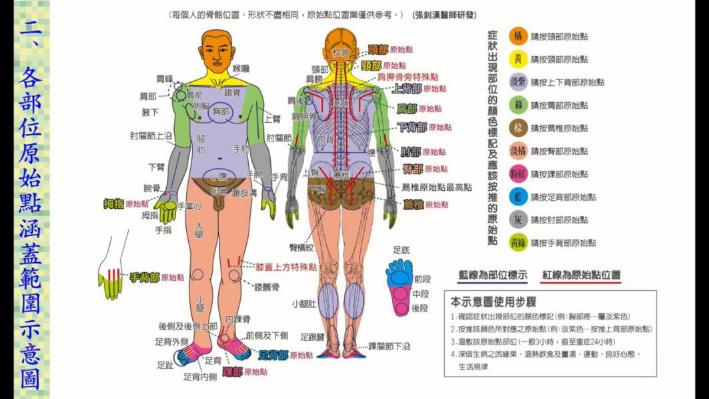 2016年1月 原始点医学讲座 (广州) ─2.现场示范.mp4_003053.480 2016年1月 原始点医学讲座 (广州) ─2.现场示范.mp4_003053.480