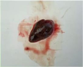 D386Q~)$6HIZMH[}CJI_`G8 D386Q~)$6HIZMH[}CJI_`G8