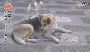 9$HW{)ZZDIKYQZ)BTV~V3$G 9$HW{)ZZDIKYQZ)BTV~V3$G